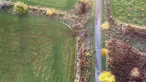 Aerial-view-of-countryside-road-by-vast-empty-agricultural-green-field-in-fall-season,-drone-flying-backwards,-daytime