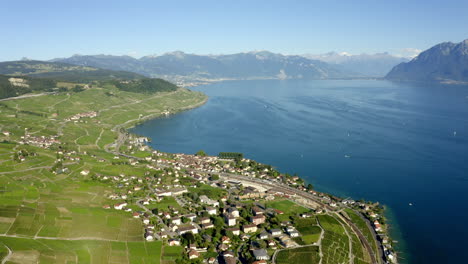 hermoso paisaje agrícola y salvaje de lavaux - pueblo de cully y lago leman, suiza - toma aérea