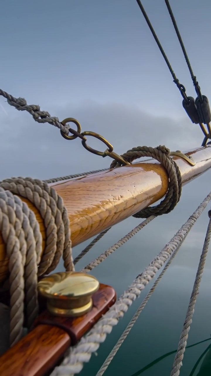 Video verticale: Telecamera panoramica che rivela un albero verniciato in mare per documentare una cima avvolta e un grillo.