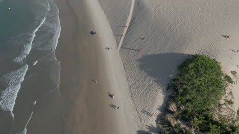 aéreo - sombrillas y personas en la playa de genipabu, brasil, de arriba hacia abajo hacia adelante inclinado hacia arriba revelan