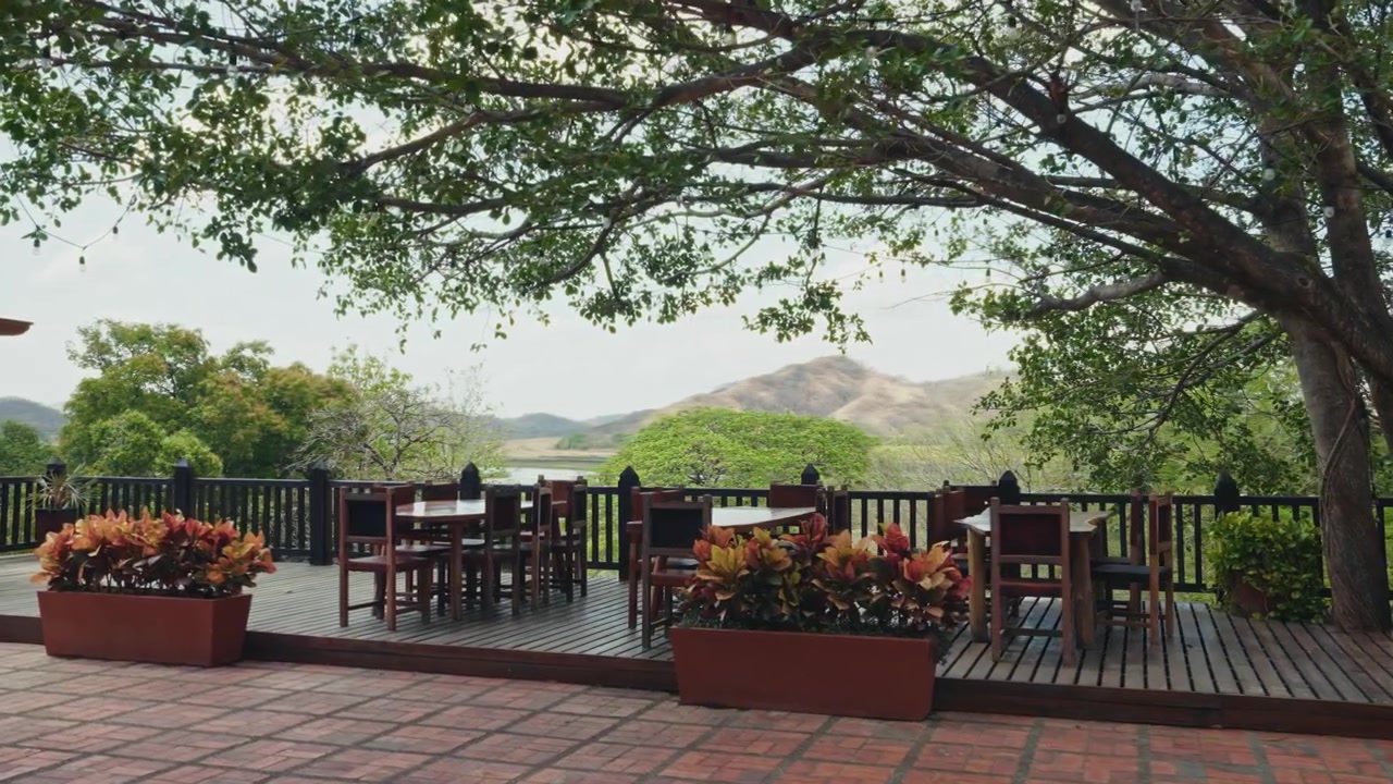 Vista panoramica all'interno delle zone umide di Hacienda el Viejo a Guanacaste, Costa Rica
