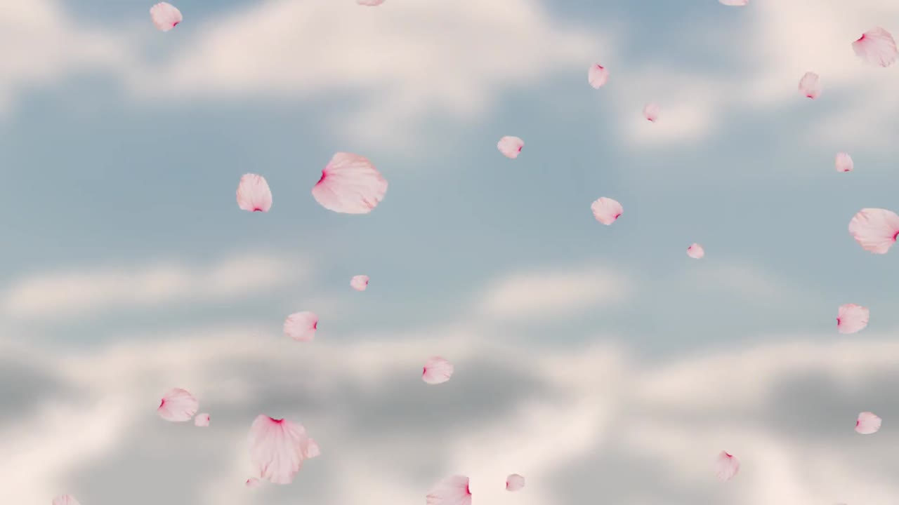 발렌타인 데이 축제