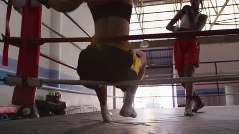 Two-mixed-race-women-training-in-boxing-ring