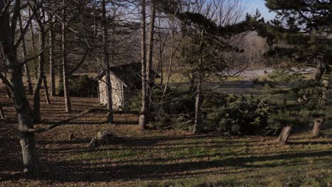 tracking shot of small wooden cabin amongst woodlands area, wide