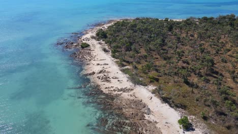 costa de arena áspera con isla boscosa en la región de whitsunday