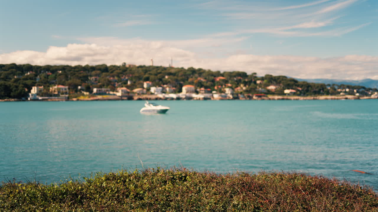 Primo piano di cespugli verdi con vista sulle barche che galleggiano sul mare e sulla città di Bandol, in Francia, sullo sfondo