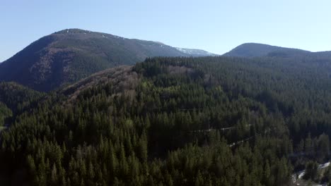 Aerial-boom-down-above-winding,-tree-lined-road-over-Bratocea-Pass,-Romania