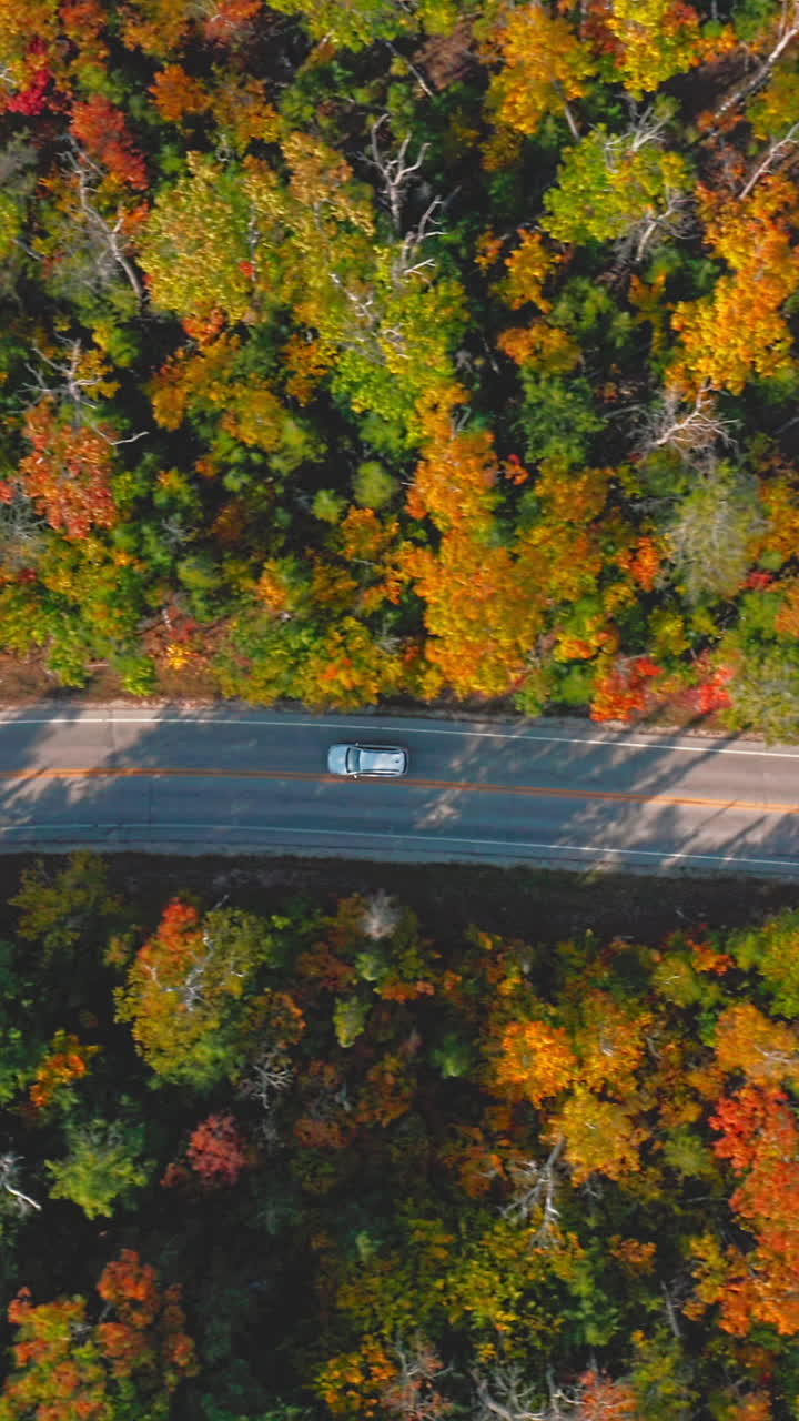 A lone white car moves along a winding forest highway bordered by vivid red, orange, and yellow trees, capturing the tranquil essence of fall wilderness