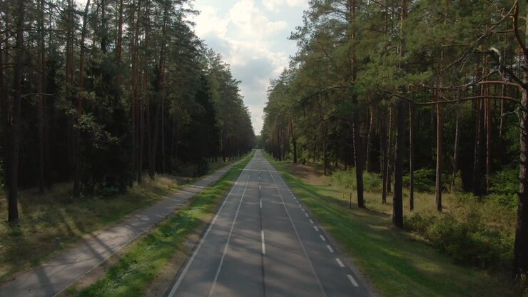 Sorvolando una strada forestale in Polonia in una giornata di sole