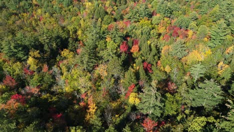 Vista-Aérea-De-La-Exhibición-De-Bosque-Colorido-Y-Soleado-En-El-Pico-De-Otoño-En-El-Campo-De-Nueva-Inglaterra,-Ee.uu.