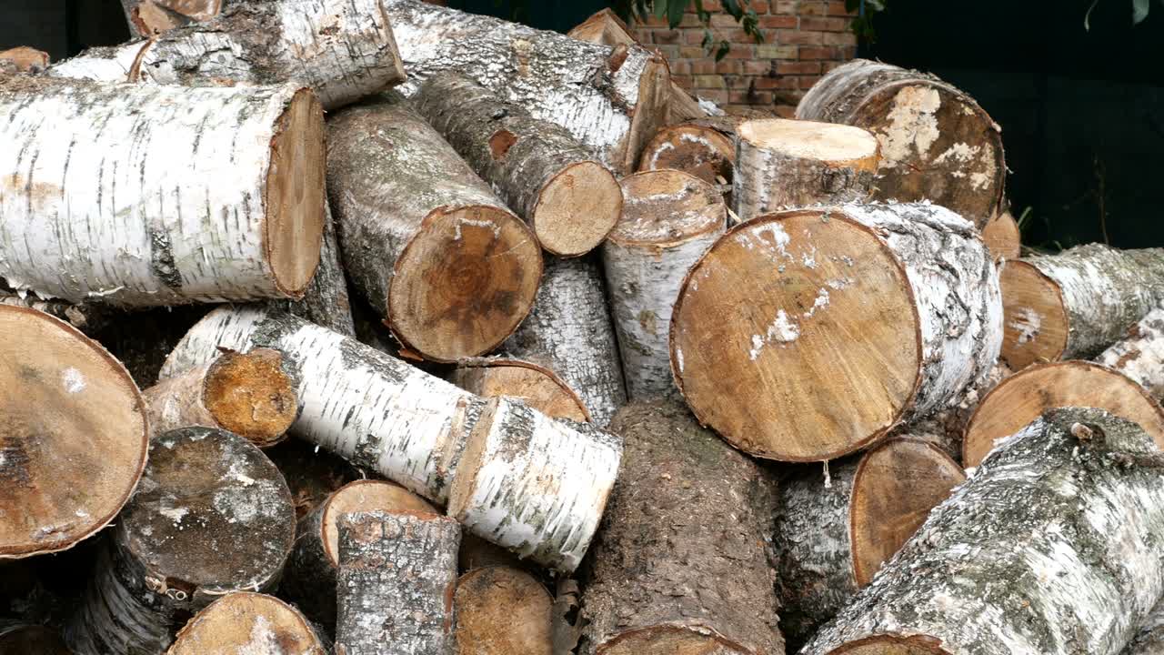 각기 다른 가로편의 잘라진 버드 나무 어리가 뒷마당이나 창고에 쌓여 있습니다.