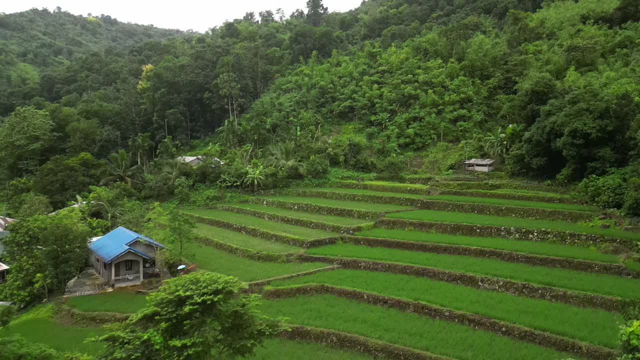 A wide aerial angle settles over a forested valley with scattered rooftops and cultivated fields. The red bridge and rocky river hold center frame as dense greenery anchors the layered terrain