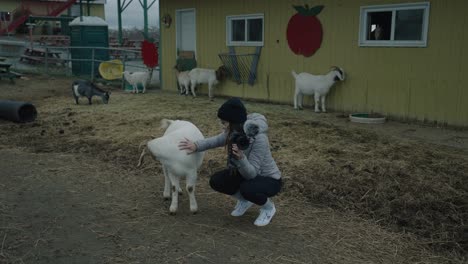 Ein-Junges-Mädchen,-Das-Die-Ziege-Im-Barnyard-In-Coaticook,-Quebec,-Kanada-Streichelt---Mittlere-Aufnahme,-Zeitlupe