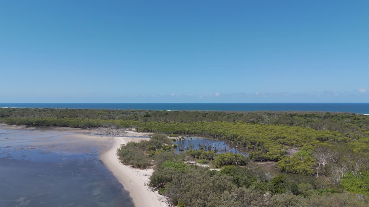 vista aérea de los manglares y el paisaje costero