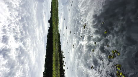 barco vertical que navega por el río tortuguero en costa rica américa central