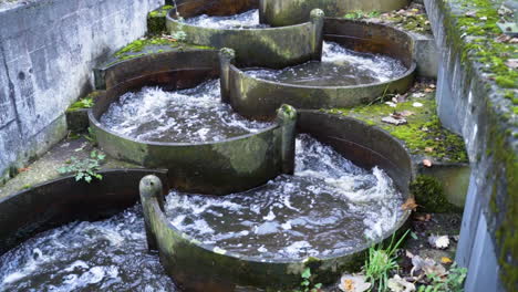 fish ladder - water flowing through fishway