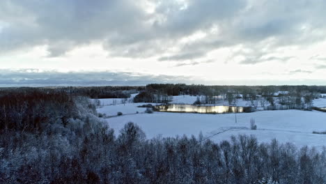 Vuelo-Aéreo-Hacia-Adelante-Sobre-El-Paisaje-Del-Bosque-Nevado-Y-El-Lago-Natural-Durante-El-Día-Nublado-En-Invierno