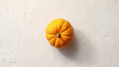 Una-Calabaza-Naranja-En-El-Medio