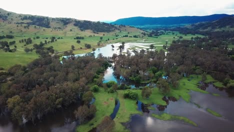 aerial footage of the swollen floodplains of the mitta mitta river near where it enters lake hume, in north-east victoria, australia