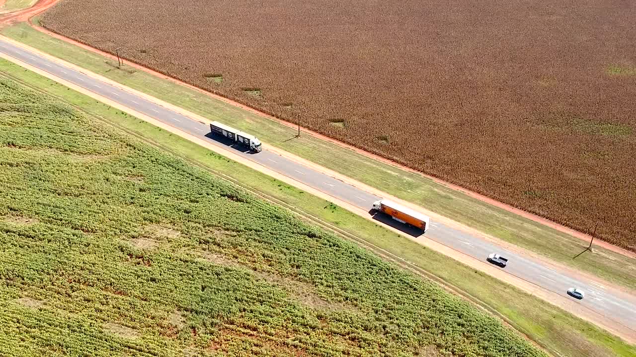 Traffico tra i campi coltivati.