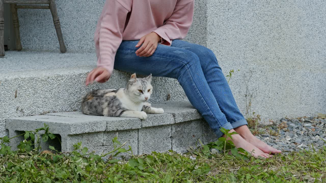 고양이를 만지는 인식할 수 없는 여자.