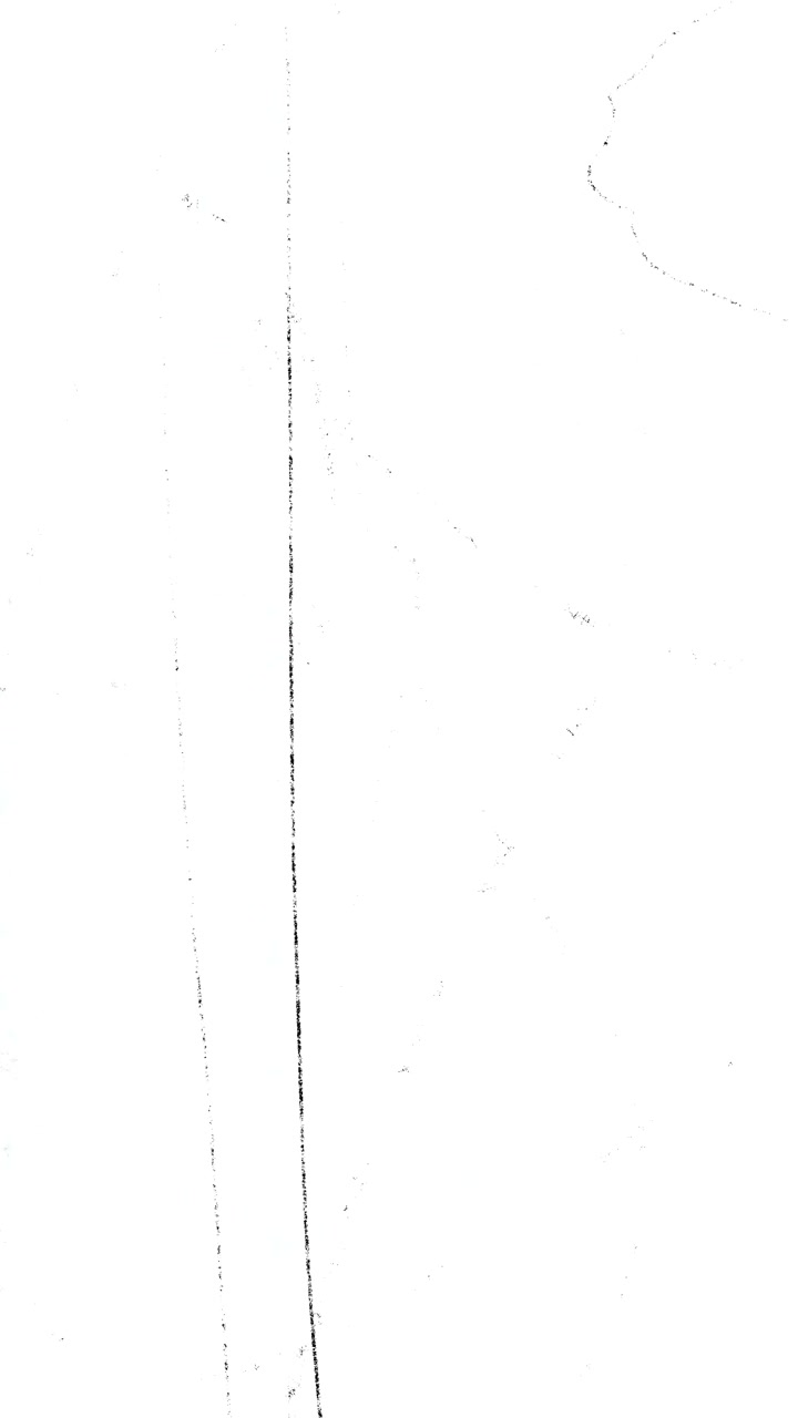 Fundo Branco Abstrato com Linhas Sutis em Movimento