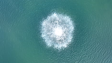 Top-down-Luftzeitlupe-Des-Wasserbrunnens-Mit-Blaugrünem-Wassersee-Teich-Feature