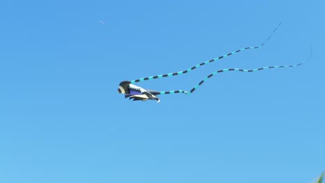 Low-angle-shot-of-a-black-and-white-kite-with-a-long-tail-flying-along-blue-sky-on-a-summer-day