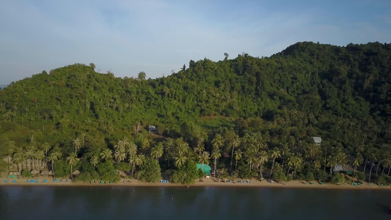 Tropical Beach Scenery with Palm Trees and Lush Greenery