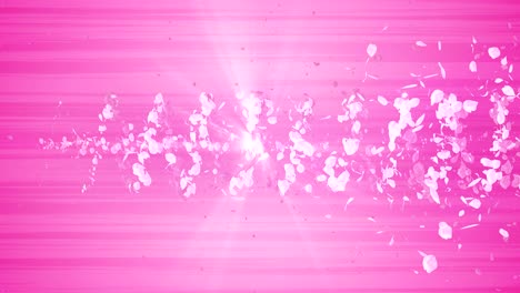 spiral shiny particle of cherry blossoms. sakura pattern. japanese cherry dancing. vortex from pink petals. abstract loop animation.