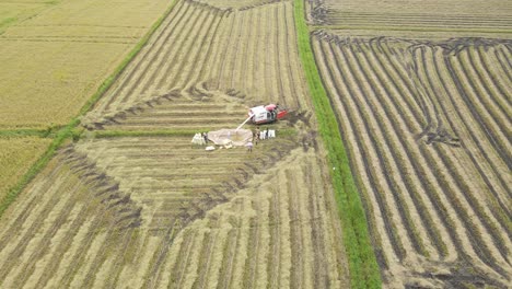 360-Aerial-Drone-Shot-of-Harvester-offloading-Rice-after-Harvest-Sri-Lanka