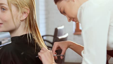 hairstylist giving haircut to her client