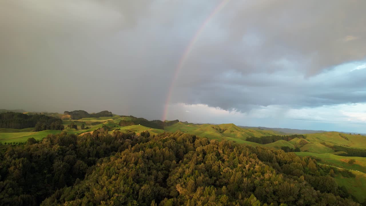 arco iris sobre el bosque de arbustos de nueva zelanda