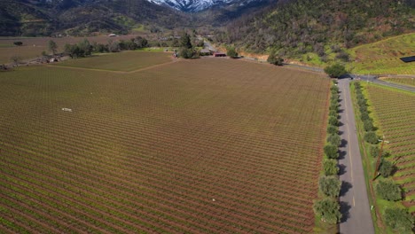 Luftaufnahme-Von-Oben-Durch-Die-Weinberge-Des-Napa-Valley,-Um-Schnee-Auf-Den-Bergen-Sichtbar-Zu-Machen