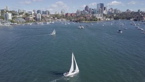 sailing yachts and several other boats drifting in sydney's harbour