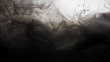 tinta negra que fluye en el agua