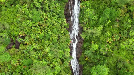Bird-eye-drone-of-sauzier-waterfall,-dense-tropical-forest-with-palm-trees-and-granite-stone,-Mahe-Seychelles-30fps-3