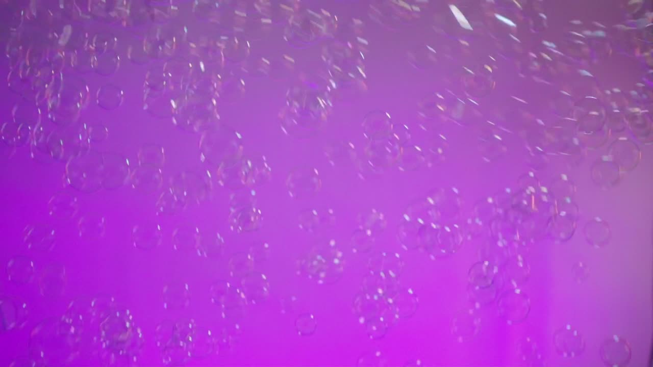 translucent bubbles drift against a vivid pink and purple light background