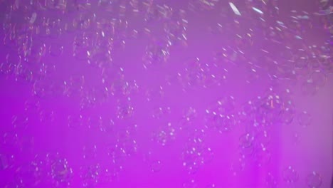 translucent bubbles drift against a vivid pink and purple light background