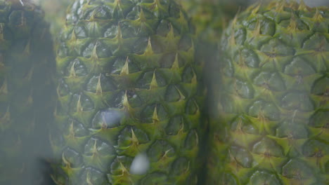 close up pan left of pineapples in a refrigerator