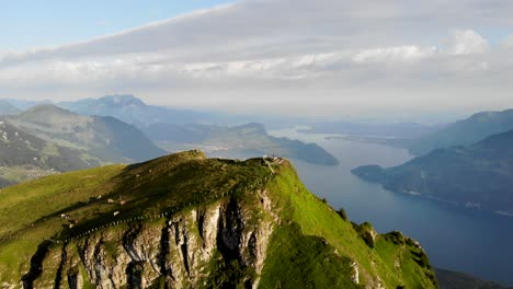 Aerial-view-of-Niederbauen-Chulm-in-Uri,-Switzerland-with-a-revealing-view-of-Lake-Lucerne-and-its-fjords-along-with-cows-grazing-on-a-summer-morning-in-the-Swiss-Alps