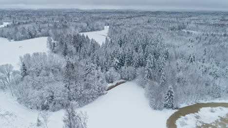 Winter-Wonderland-with-snow-covering-landscape,-trees-and-forest