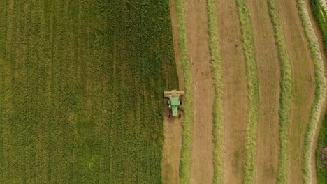 Combinar-La-Cosecha-De-Trigo-Para-Ensilaje,-Vista-Aérea