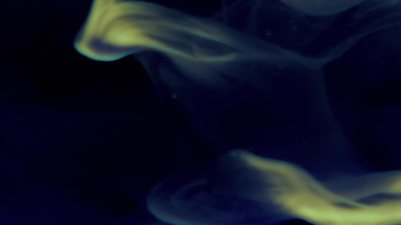 Smoke On Black Background, Slow Motion