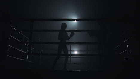 silhouetted boxers training in a dark, smoky ring