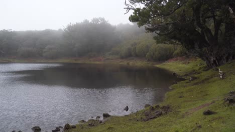 Blick-Auf-Die-Fanal-Lagune,-Einen-Vulkankrater,-Der-Sich-Nach-Der-Regenzeit-Füllt-Und-Vom-Lorbeerwald-Umgeben-Ist