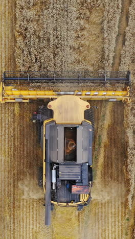 industrial machine working on the field. combine harvester collecting ripe wheat during seasonal work. view from above. aerial view. agricultural concept. vertical video
