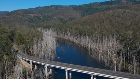 aerial view of a bridge over a river in a flooded forest