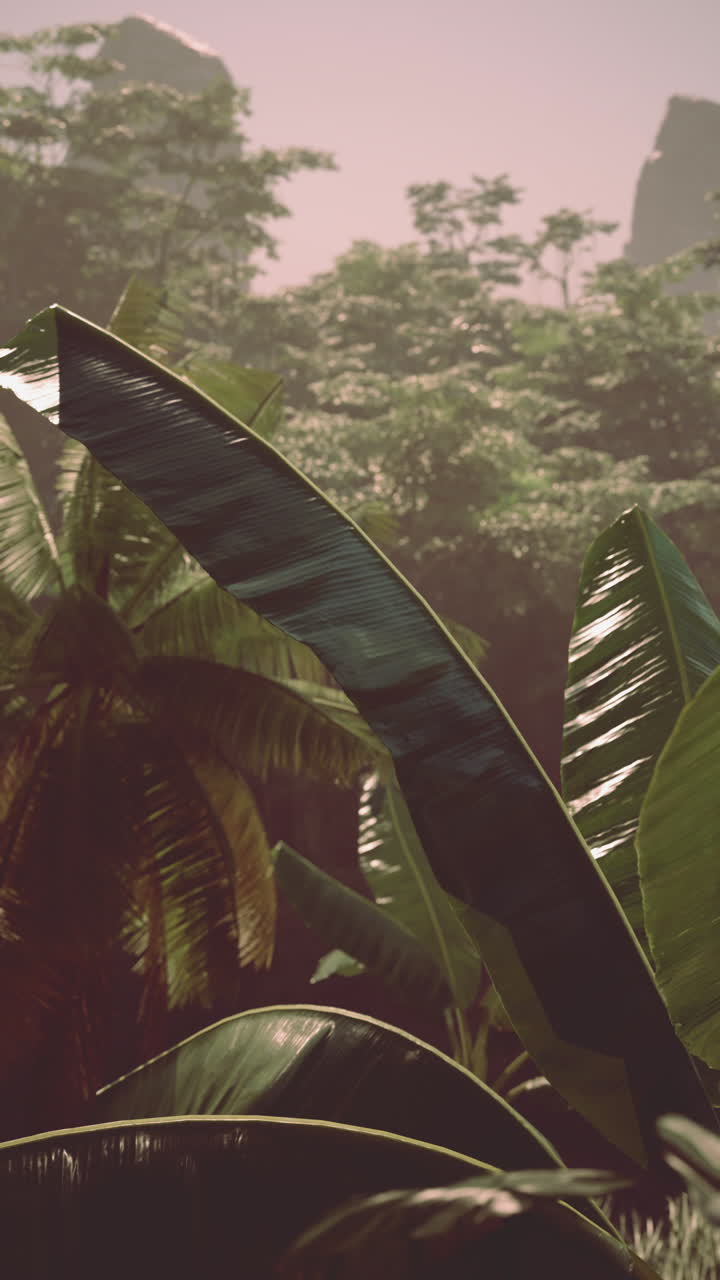 árbol de plátano y paisaje montañoso