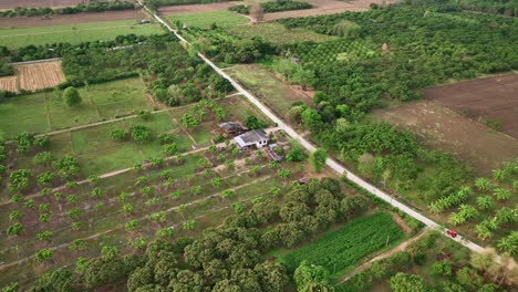 Luftaufnahme-Ländlicher-Gebiete-Mit-Bauernhöfen-In-Thailand